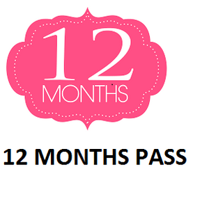 12 months pass