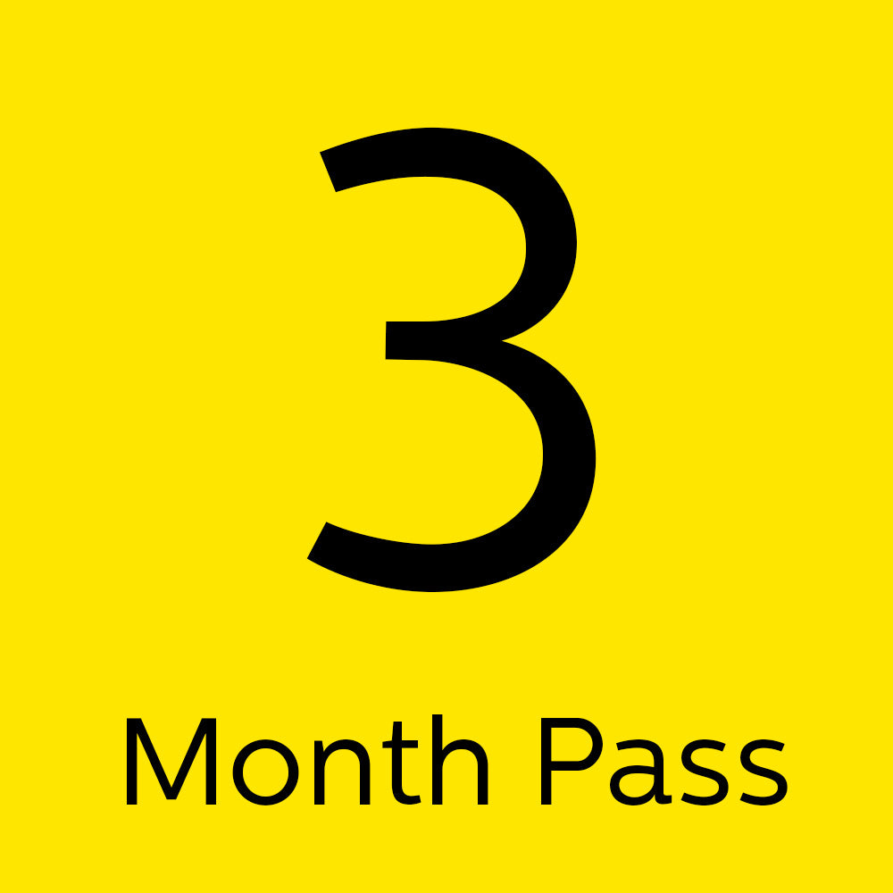3 months pass