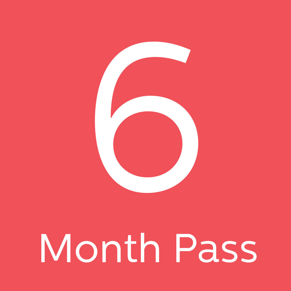 6 months pass
